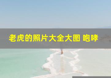 老虎的照片大全大图 咆哮